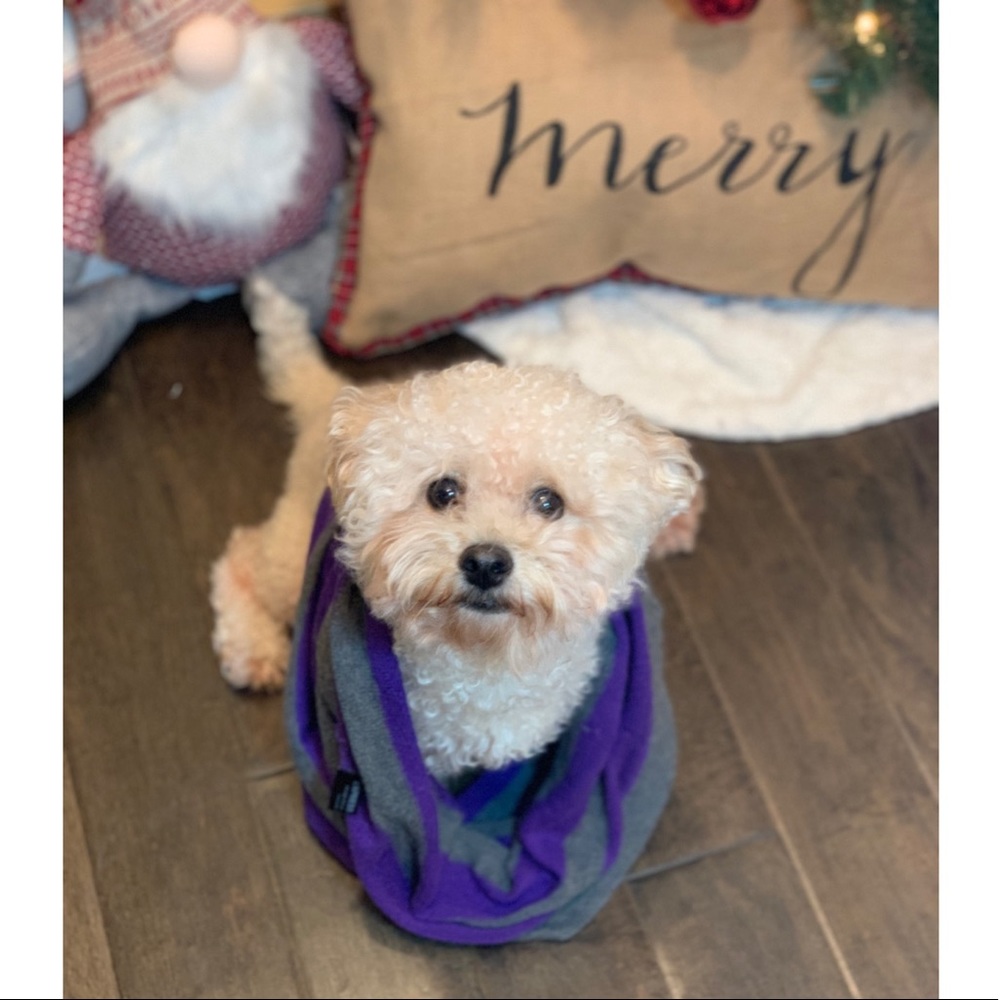 Express infinity scarf 🧣 🍂